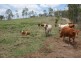Berajondo QLD 4674