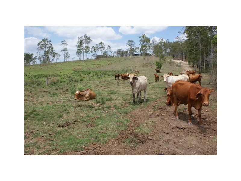 Berajondo QLD 4674