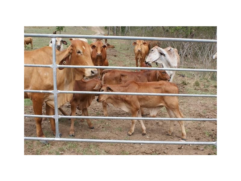 Berajondo QLD 4674