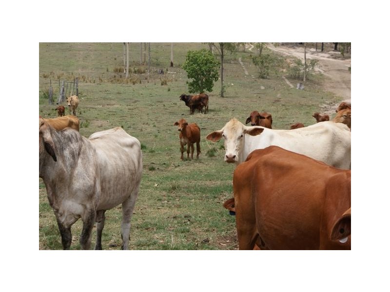 Berajondo QLD 4674