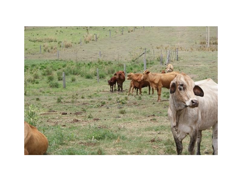 Berajondo QLD 4674