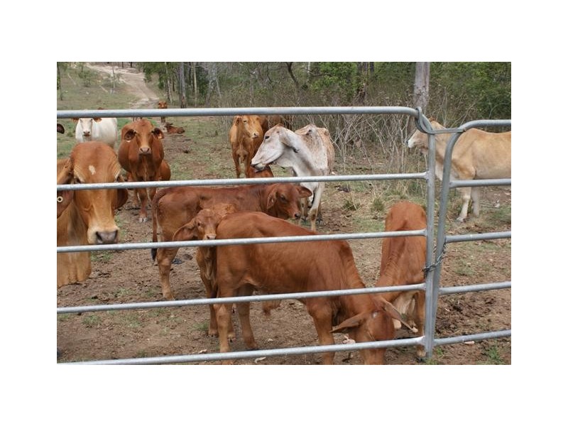 Berajondo QLD 4674
