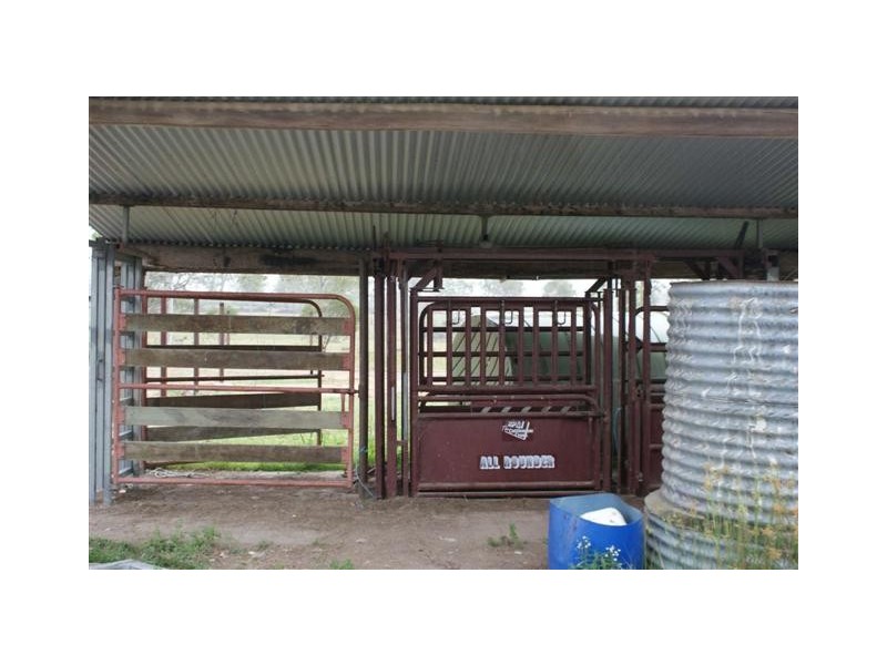 Golden Fleece QLD 4621