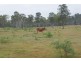 Golden Fleece QLD 4621