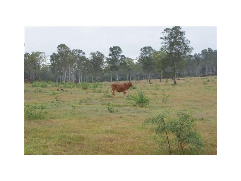 Golden Fleece QLD 4621