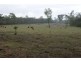 Golden Fleece QLD 4621