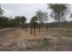 Golden Fleece QLD 4621