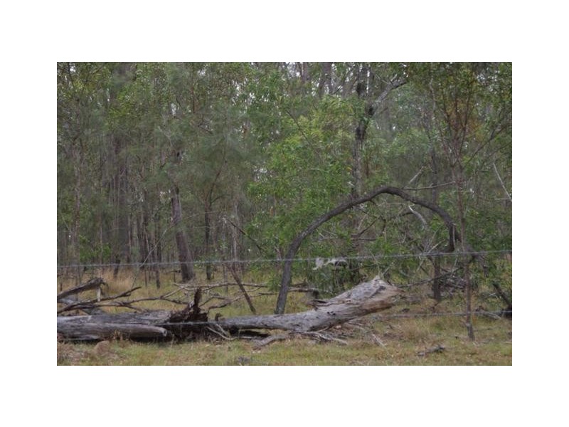 Golden Fleece QLD 4621