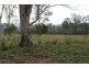 Golden Fleece QLD 4621