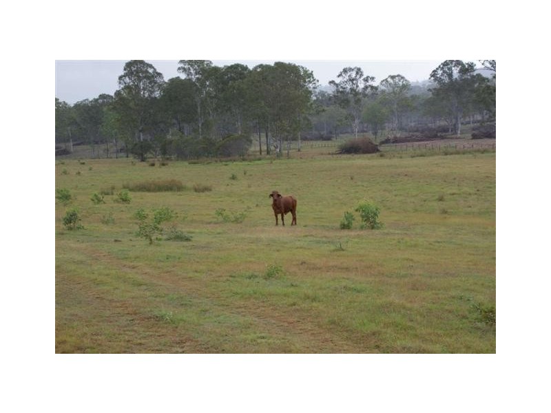Golden Fleece QLD 4621