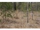 Horse Camp QLD 4671