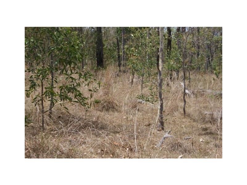 Horse Camp QLD 4671