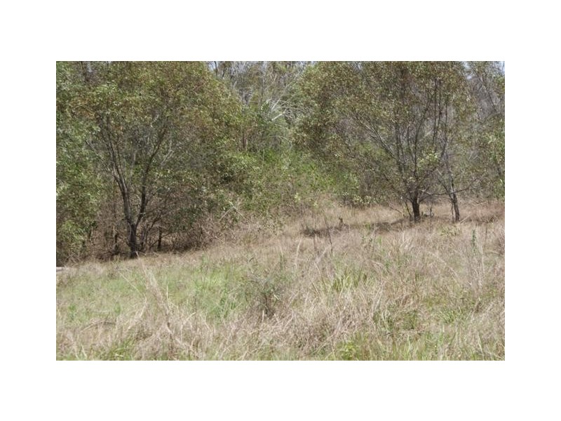 Horse Camp QLD 4671