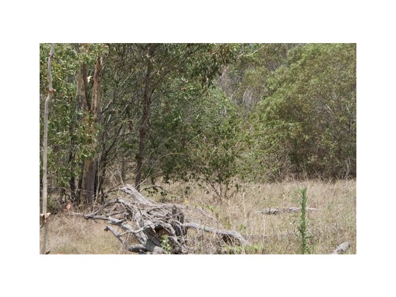 Horse Camp QLD 4671