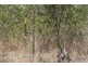 Horse Camp QLD 4671
