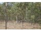 Horse Camp QLD 4671