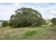 Gin Gin QLD 4671