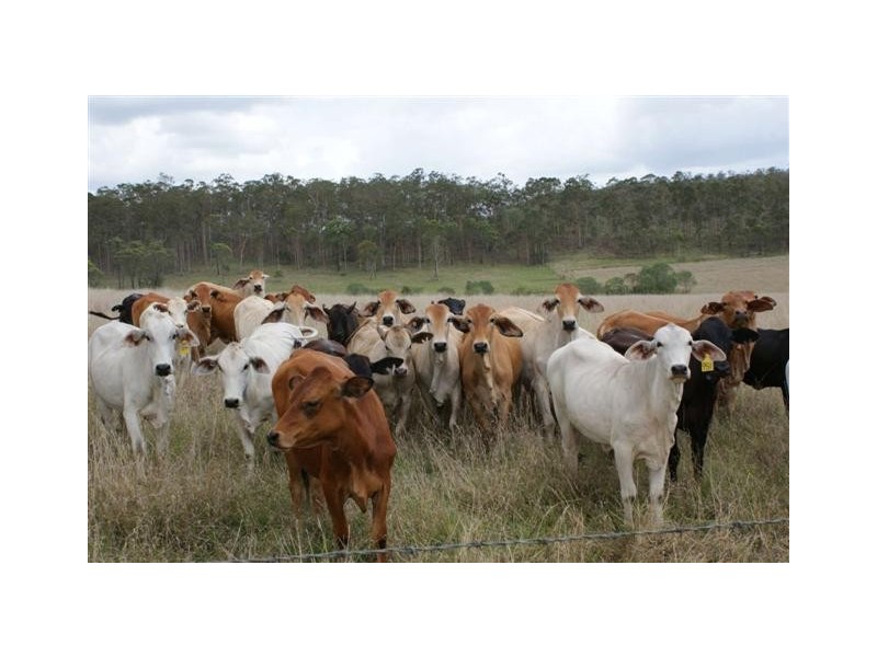 Drinan QLD 4671