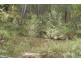 Lowmead QLD 4676