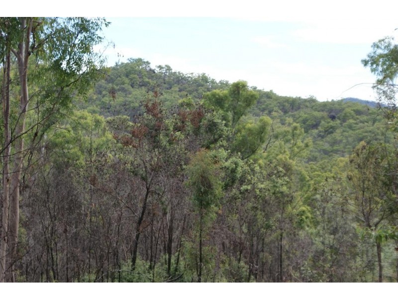 Lowmead QLD 4676