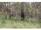 Lowmead QLD 4676