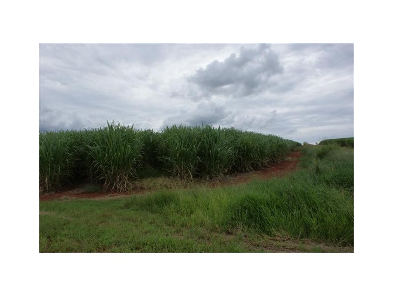 Skyring Reserve QLD 4671