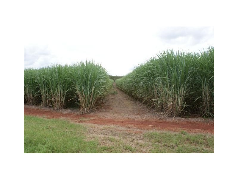 Skyring Reserve QLD 4671