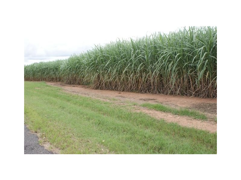 Skyring Reserve QLD 4671