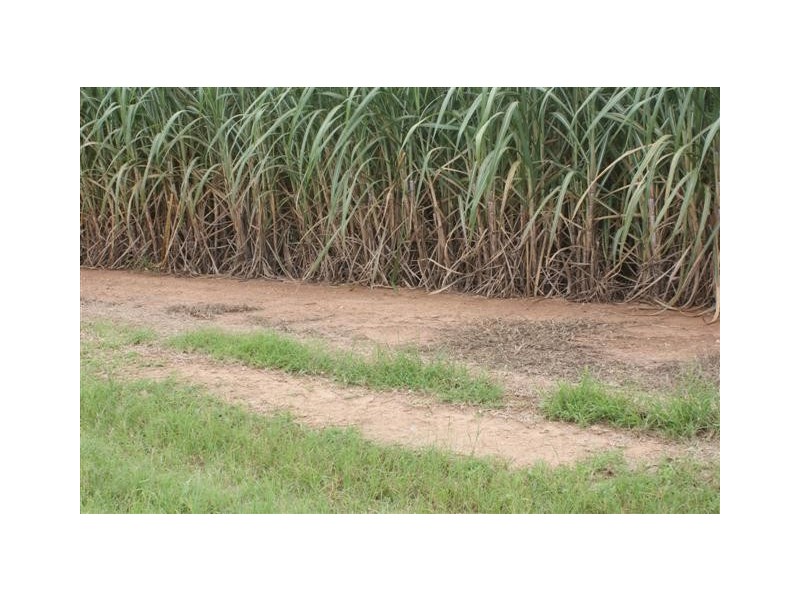 Skyring Reserve QLD 4671