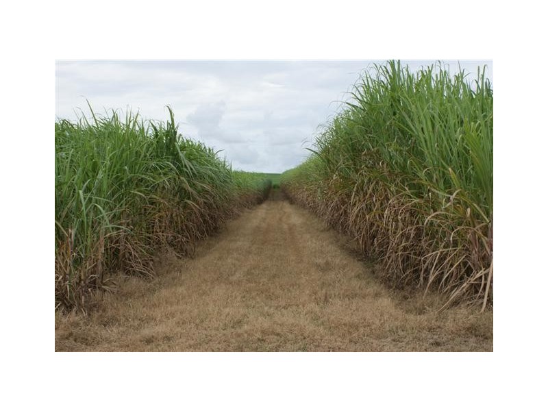 Skyring Reserve QLD 4671