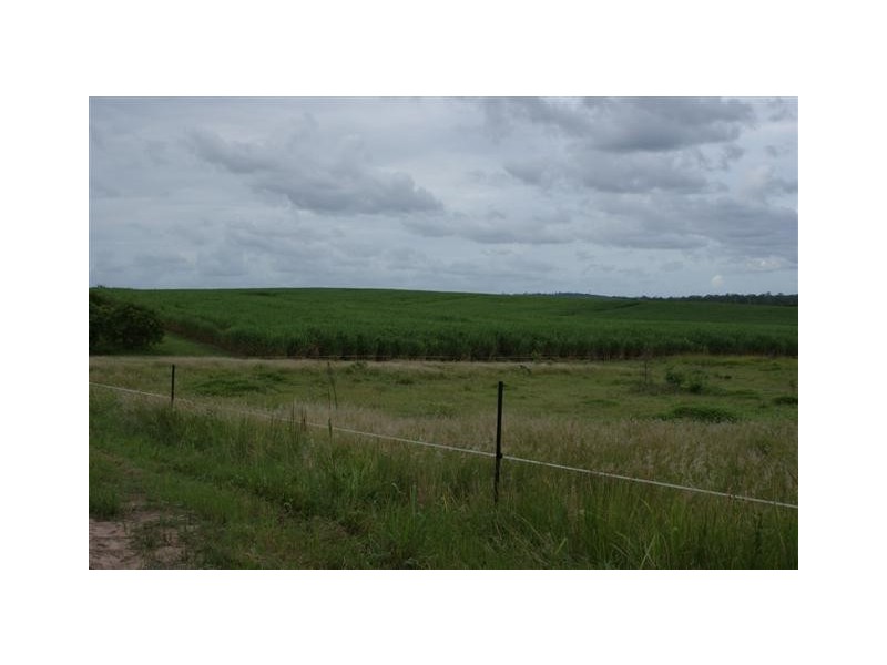 Skyring Reserve QLD 4671