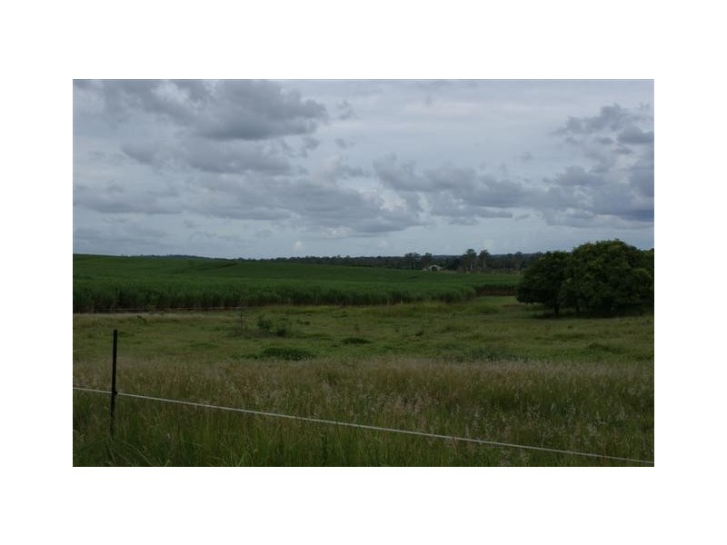 Skyring Reserve QLD 4671