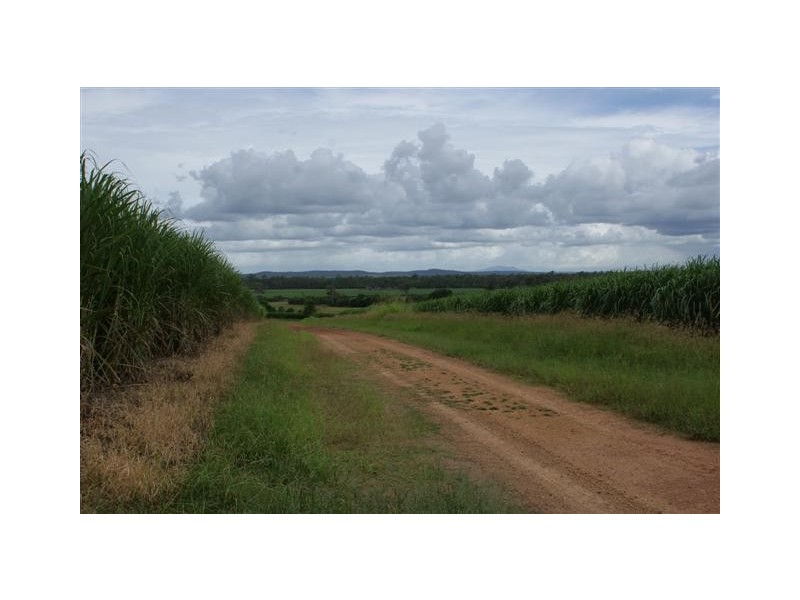 Skyring Reserve QLD 4671