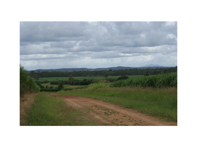 Skyring Reserve QLD 4671