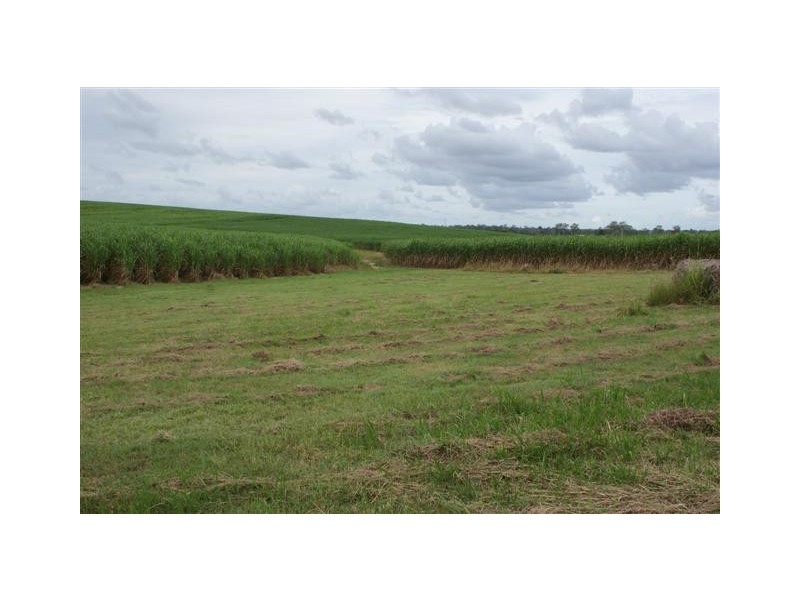 Skyring Reserve QLD 4671