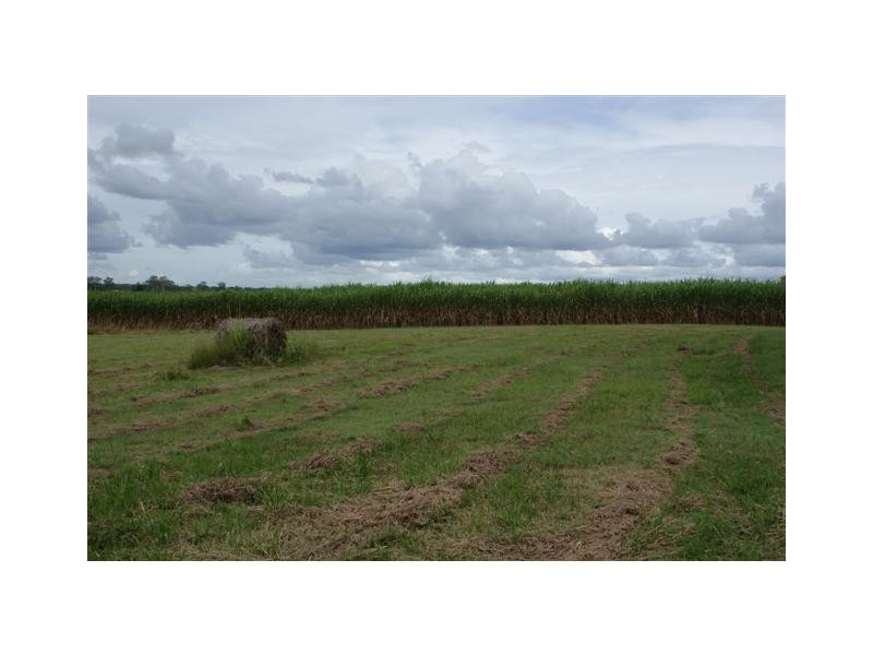 Skyring Reserve QLD 4671