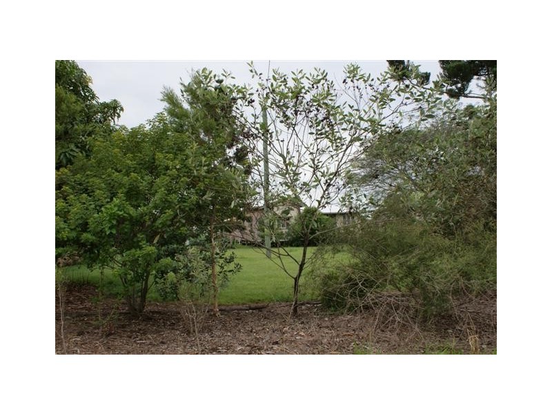 Skyring Reserve QLD 4671