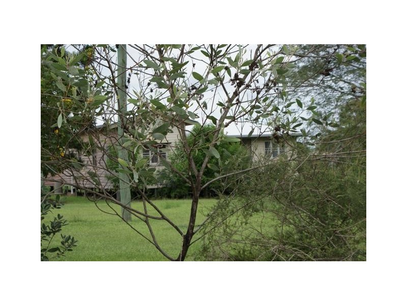 Skyring Reserve QLD 4671