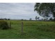 Skyring Reserve QLD 4671