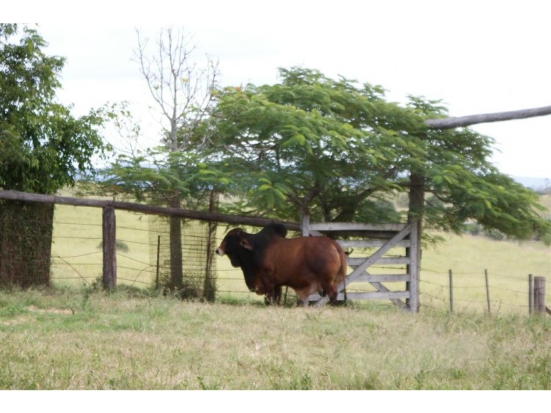 Morganville QLD 4671