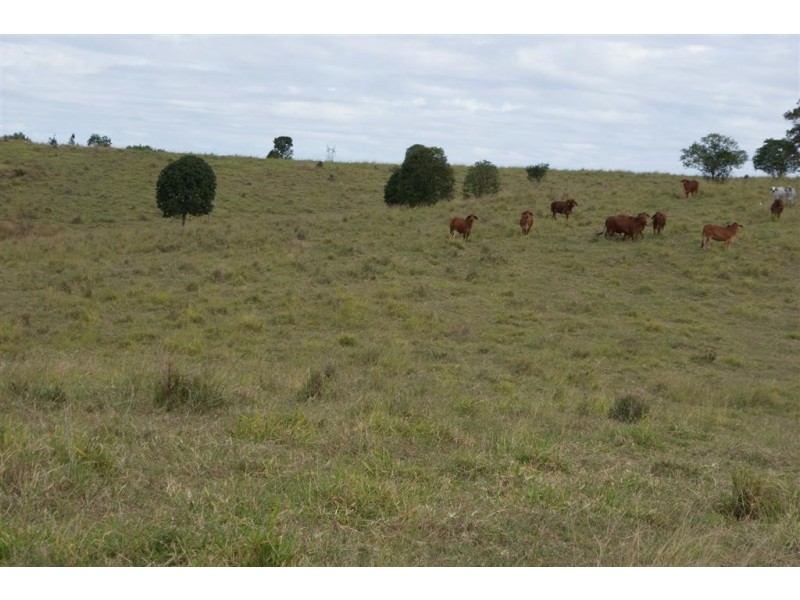 Morganville QLD 4671