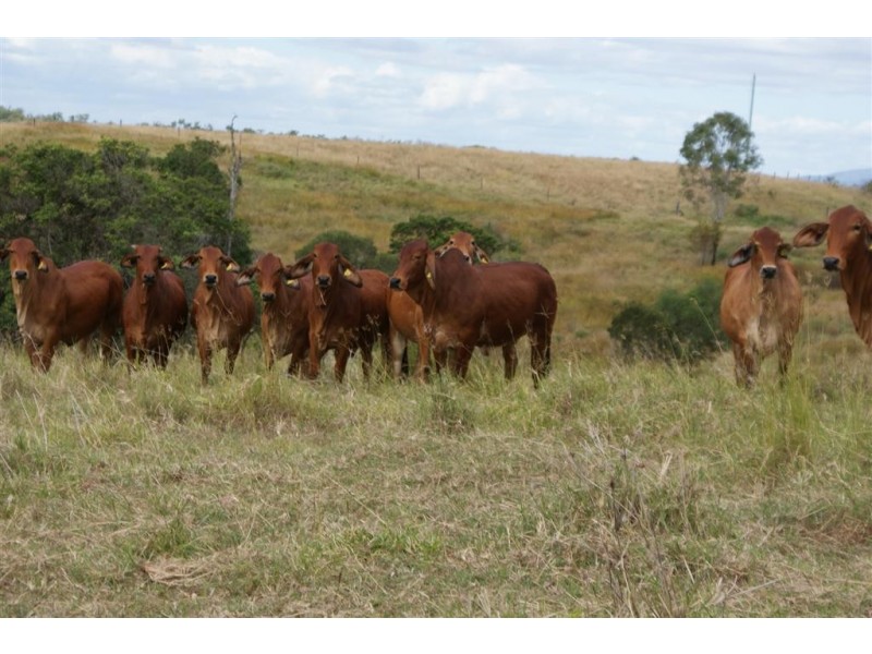 Morganville QLD 4671