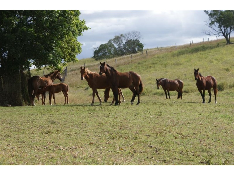 Morganville QLD 4671