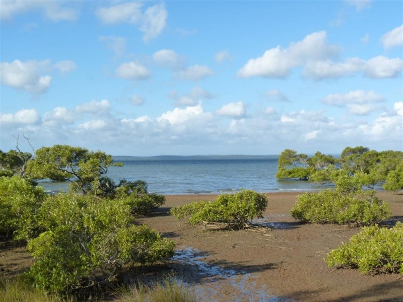 56 Ti Tree Av, Booral QLD 4655