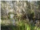 56 Ti Tree Av, Booral QLD 4655