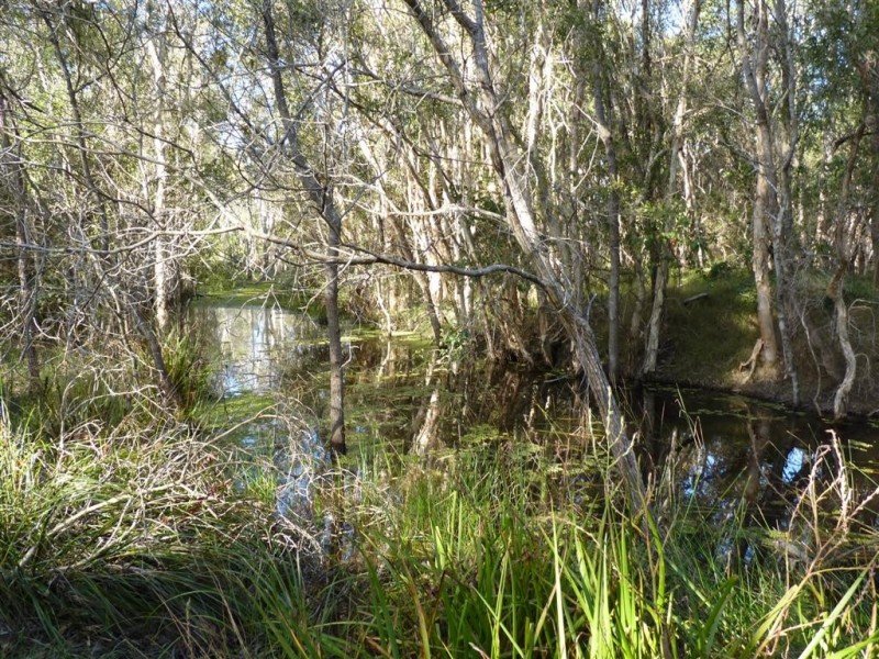 56 Ti Tree Av, Booral QLD 4655