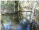 56 Ti Tree Av, Booral QLD 4655