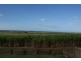 Qunaba QLD 4670