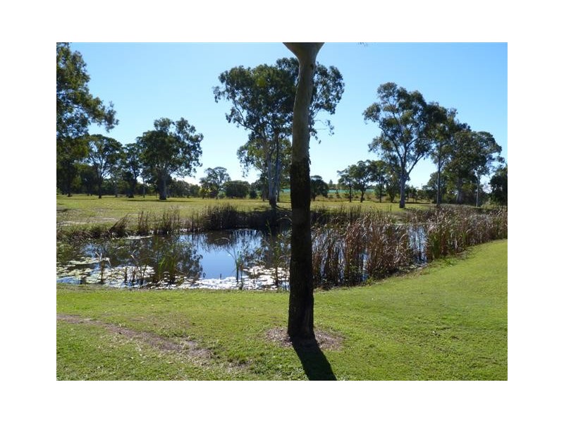 Urangan QLD 4655