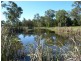 Urangan QLD 4655